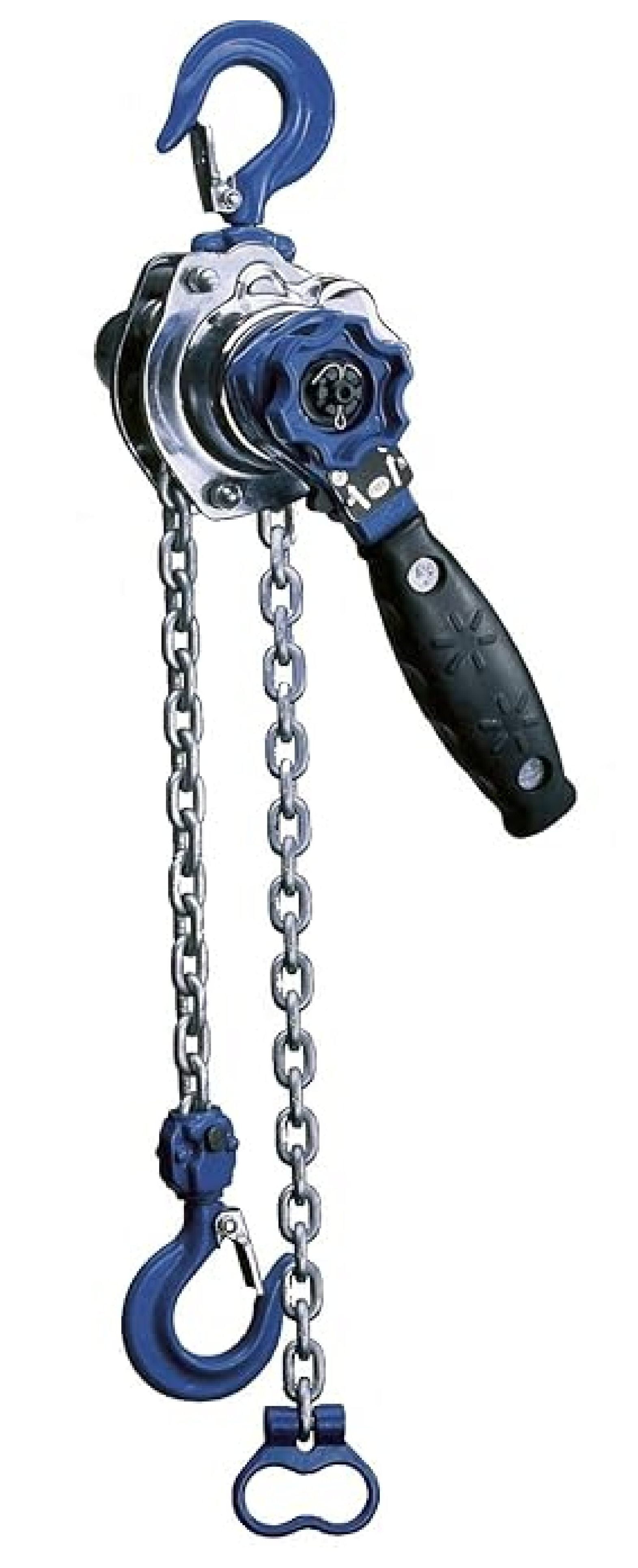 VEVOR Manual Lever Chain Hoist, 1/4 Ton 550 Lbs Capacity 10 FT Come Along, G80 Galvanized Carbon