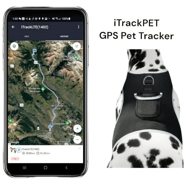 Mini Long Term Rechargeable GPS Dog Collar Tracking Device Waterproof Size:XXL