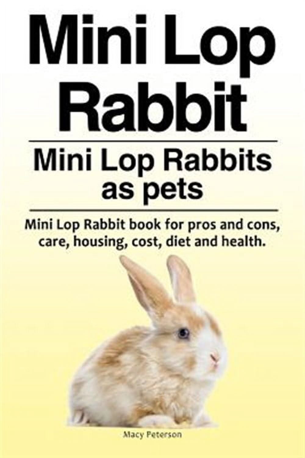 Mini Lop Rabbit Cost Mini Lop Rabbit. Mini Lop Rabbits as pets. Mini Lop Rabbit book for ...