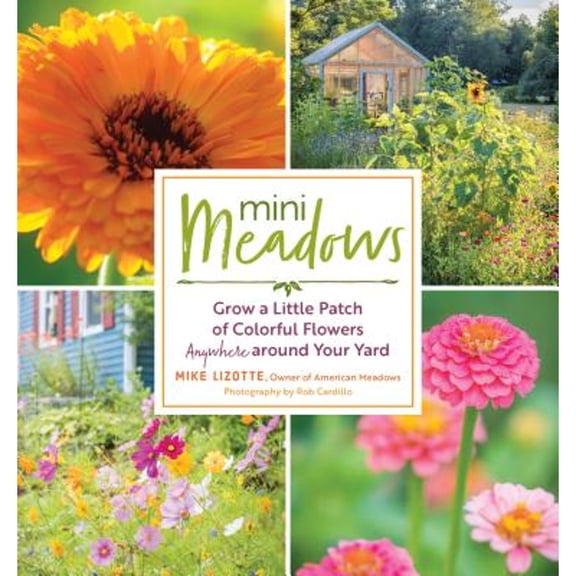 Pre-Owned Mini Meadows: Grow a Little Patch of Colorful Flowers Anywhere Around Your Yard (Paperback) 1612128351 9781612128351