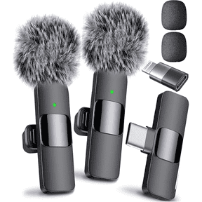 Mini Microphone