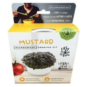 Mini Microgreens Growing Kit - Red Streaks Mizuna Mustard - Grow Your Own Organic Gourmet Micro Greens Indoors Salad, Sandwich & Garnish - Easy & Fun - Great Gift or Stocking Stuffer