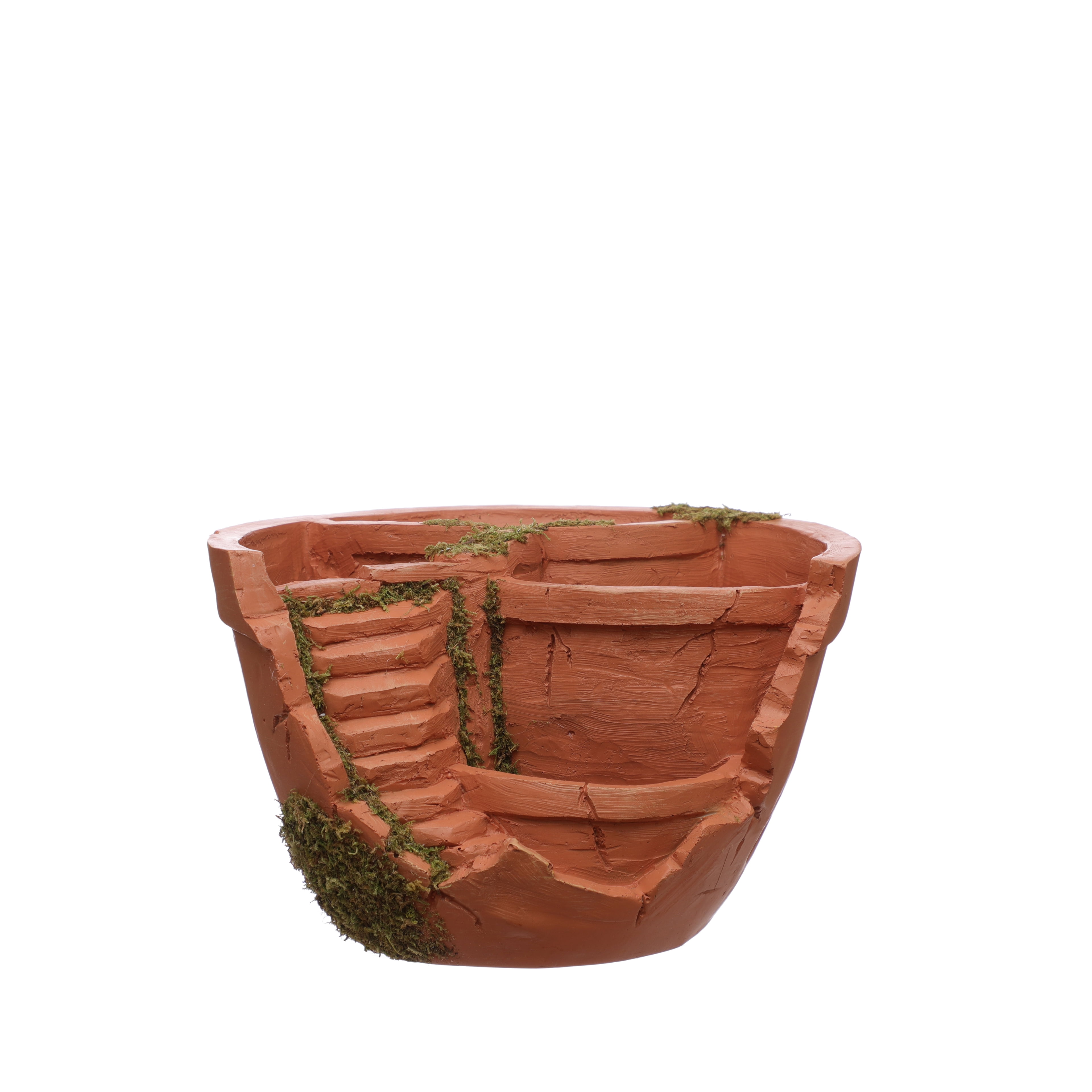 Mini Moss Container by Ashland  - Spring Home Decor