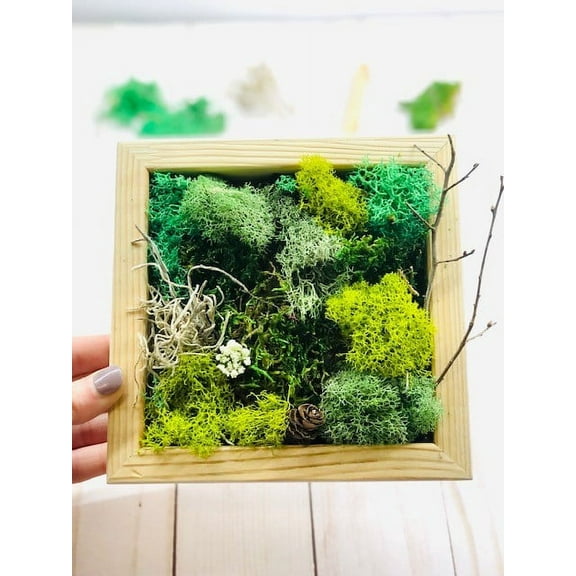 Mini Moss Wall Art DIY kit, moss wall art, moss frame, moss kit, crafts for adults, DIY crafts, Craft kit for adults