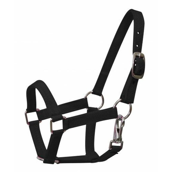 Mini Nylon Halter w/ Nickel Plated Hardware
