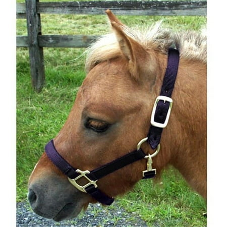 Mini Nylon Miniature Horse Halter, Black