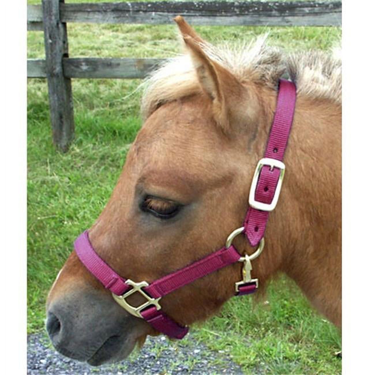 Mini Nylon Miniature Horse Halter, Burgundy