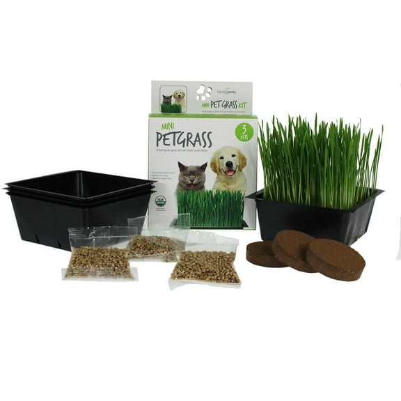 Mini Organic Pet Grass Kit -3 Pack- Grow Wheatgrass for Pets: Dog, Cat, Bird, Rabbit, More - Includes Trays, Soil, Wheat Grass Seeds, Instructions