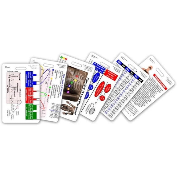 Mini Paramedic Vertical Badge Card Set - 6 Cards