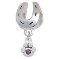 thumbnail image 1 of Mini Paw with Purple Crystal - Horseshoe Charm Bead, 1 of 1