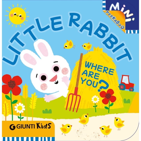 Mini Peekaboo Little Rabbit Where Are You?: A Peekaboo Adventure on the Farm, (Board Book)