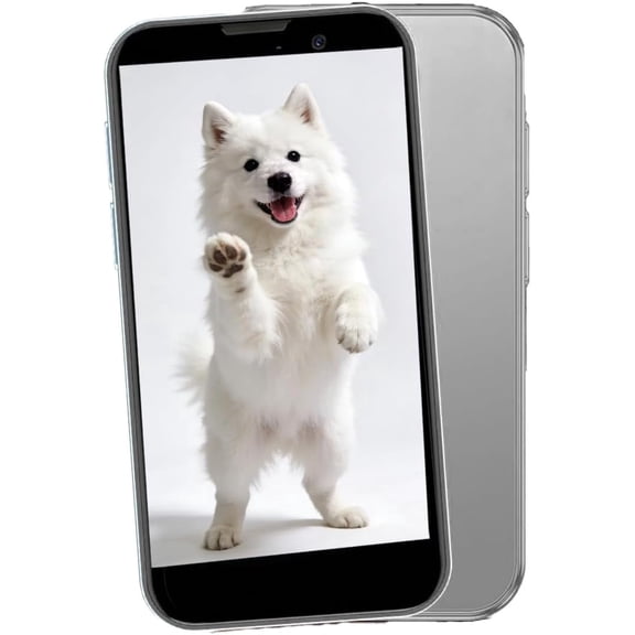 Mini Phone 2G+16GB Smartphone 3.0 Inch Android 8.1 3000mAh Small Mobile Phone Student Pocket Cell Phone Dual SIM GPS Face ID(Gray)
