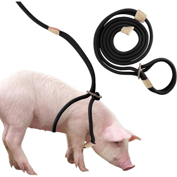 Mini Pig Harness & Leash, Adjustable 8 Feet Long Rope for Small to Medium Pet Pigs
