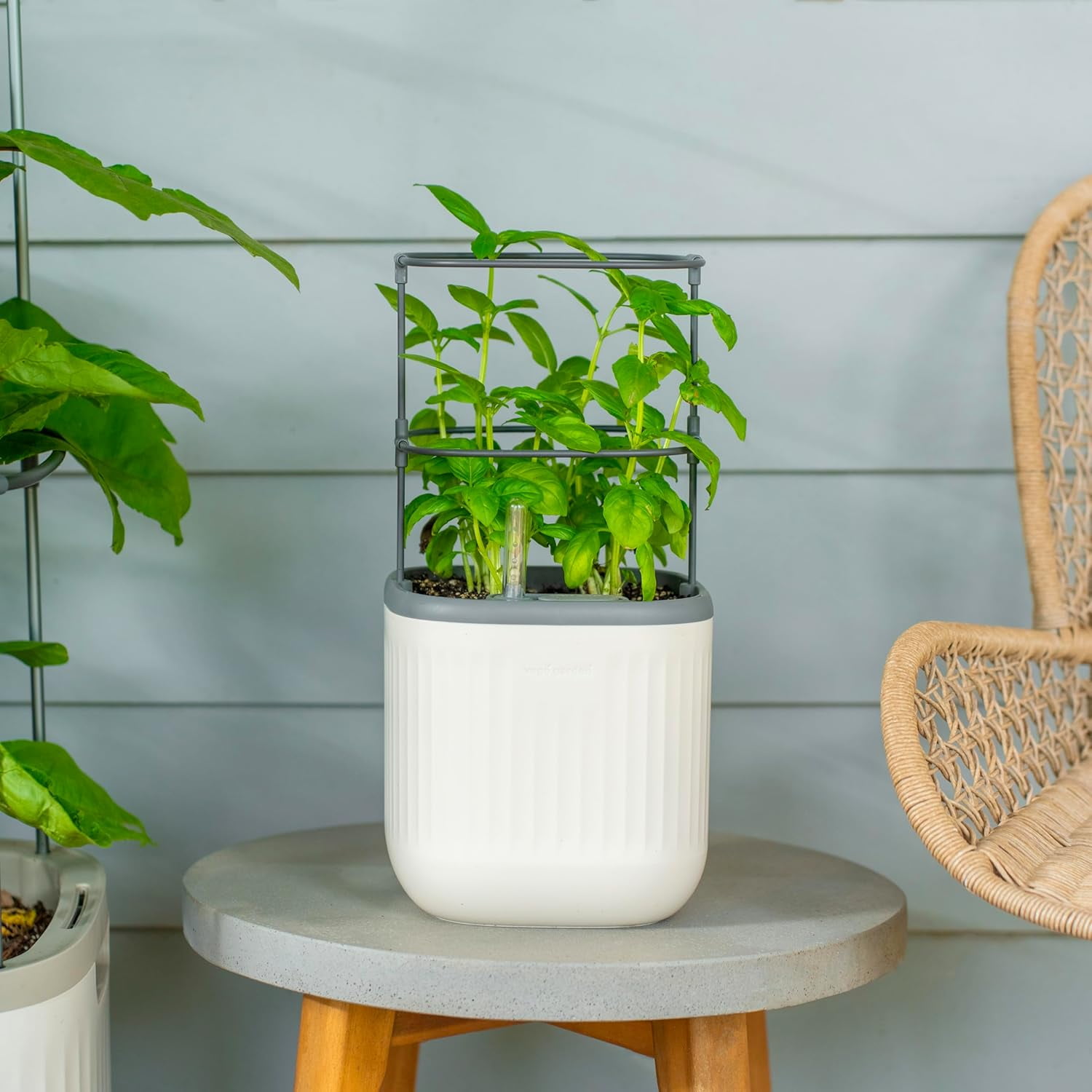 Mini Planter Indoor Pots with Trellis Self-Watering Herb Countertop ...