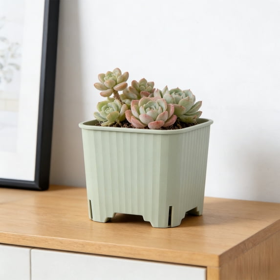 Mini Planter Pot Colorful Square Plastic Flower Pot Breathable Porous Nursery Container Small Gardening Pot for Desktop Green Plant Display(Green)