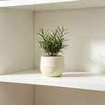 thumbnail image 1 of Mini Plants Pot,Marble Grain Plantser Resin Plastic Small Foliage Container Desktop Greenery,Balcony Potted,Indoor Plants Decor,2.76x2.76x2.1 Inch,White, 1 of 7