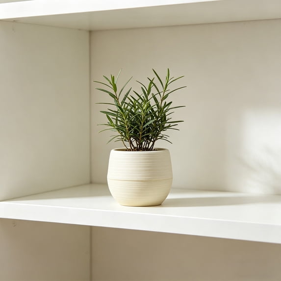 Mini Plants Pot,Marble Grain Plantser Resin Plastic Small Foliage Container Desktop Greenery,Balcony Potted,Indoor Plants Decor,2.76x2.76x2.1 Inch,White