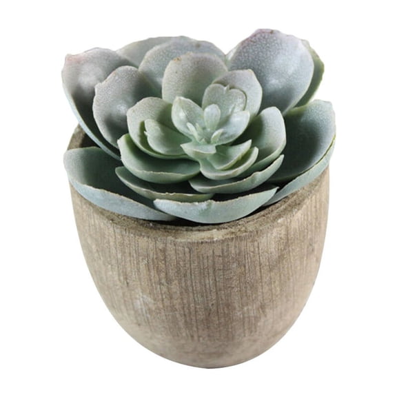 Decorative Faux Succulent Artificial Plants in Assorted Colors with Pots for Decor Use 5 Pieces