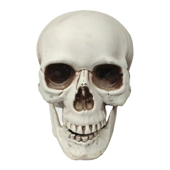Mini Skull for Halloween - Horrible Jaw Skeleton Head Prop, Small Skull Figurine for Indoor and Outdoor Halloween Party Decorations and DIY Haunted House Displays