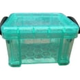 Mini Plastic Storage Box with Locking Lid Clear Plastic Organizer for