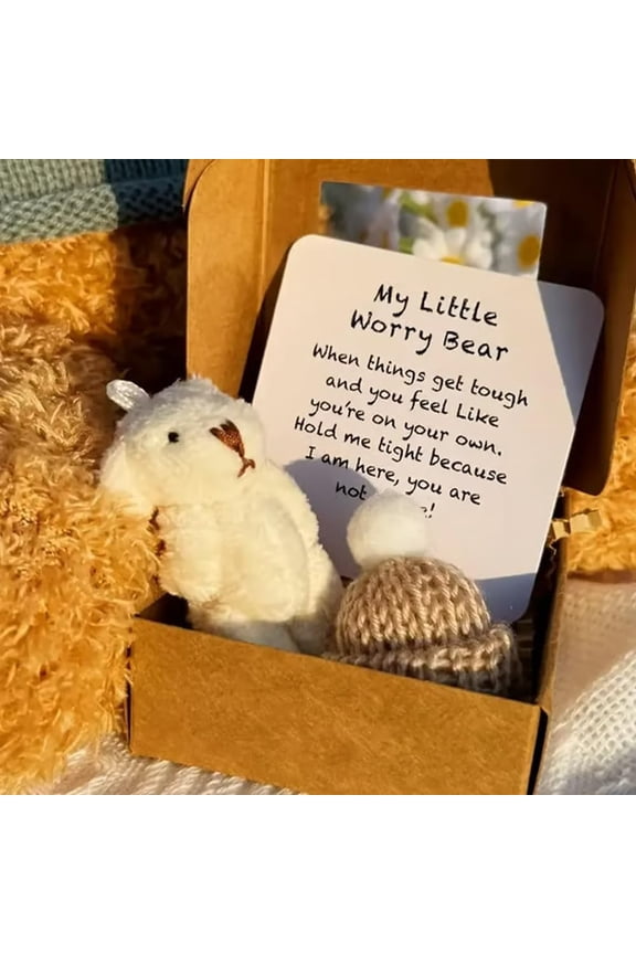 Mini Plush Worry Bear with Hat, Handmade Positive Small Plush Bear in Box with Encouragement Little Card, Inspirational Support Toy Suitable for Family Friends Coworkers Gifts