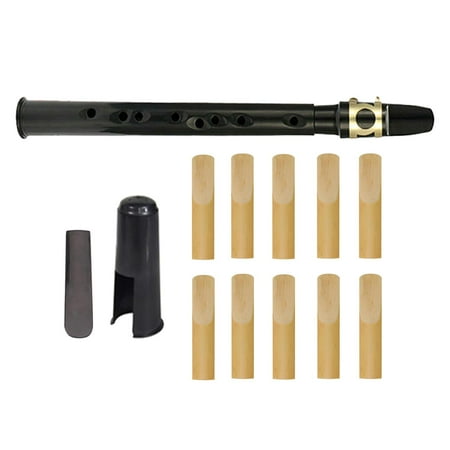 Mini Pocket Saxophone with Mouthpiece, Reeds, Carrying Bag, Fingering Chart Convenient C Key Saxophone Professional Adult Instrument Players