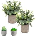 thumbnail image 1 of Mini Potted Plants Artificial Eucalyptus Boxwood Rosemary Faux Herbs Small House Plants 8.3"-9" Tall for Indoor Greenery Tabletop Décor Centerpiece (Sprayed Eucalyptus), 1 of 5