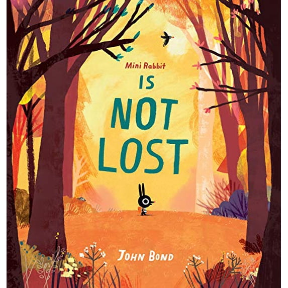 Pre-Owned Mini Rabbit Is Not Lost (Hardcover) 0823443582 9780823443581