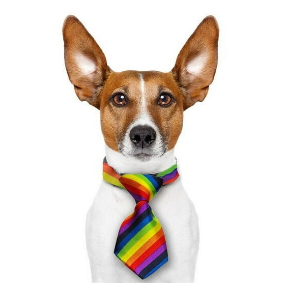 Mini Rainbow Pet Tie (Dogs / Cats) LGBT Gay and Lesbian Pride Pet Accessories
