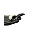 thumbnail image 1 of Mini Raven Skull Necklace Resin Bone Jewelry, Bird Skull Gothic Jewelry, Goth Gift, Oddities Curiosities, Witchy, Viking Pendant, 2.75" Size, 1 of 6