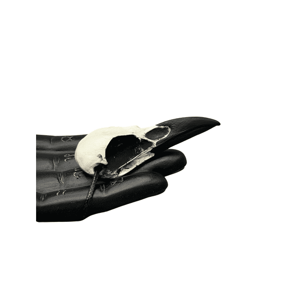 Mini Raven Skull Necklace Resin Bone Jewelry, Bird Skull Gothic Jewelry, Goth Gift, Oddities Curiosities, Witchy, Viking Pendant, 2.75" Size