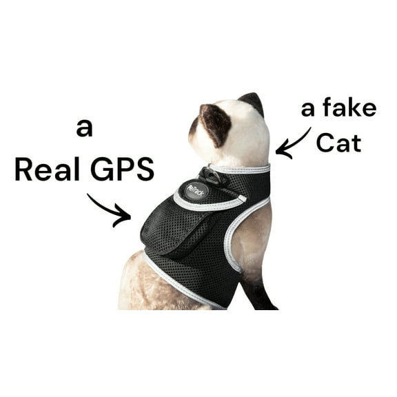 Mini Realtime GSM GPS Tracker Security Pet Monitoring Tracking Device Size:M
