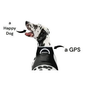 Mini Realtime Portable Quadband GSM GPRS GPS Tracker - Pet Protection Size:L