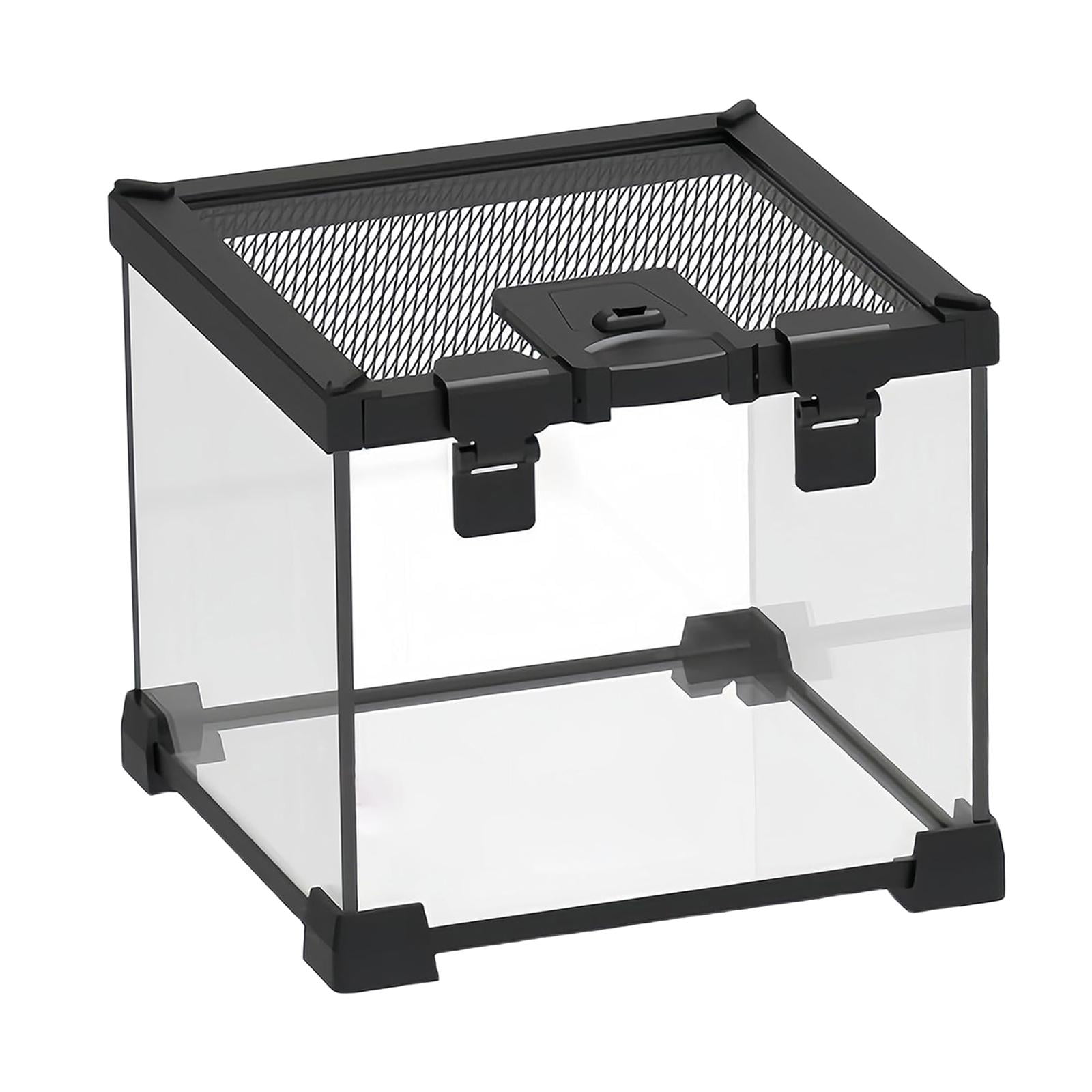 Mini Reptile Glass Terrarium Full View Tank Compact Size 20x20x16cm for Horned Frogs Pet Snakes