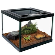 Mini Reptile Glass Terrarium Tank 8 * 8 * 6 Full View, Amphibians Box Habitat Enclosure Cage for Frog,Spiders,Dubia Cockroach,Praying Mantis,Cricket,Tarantula,Hermit Crab
