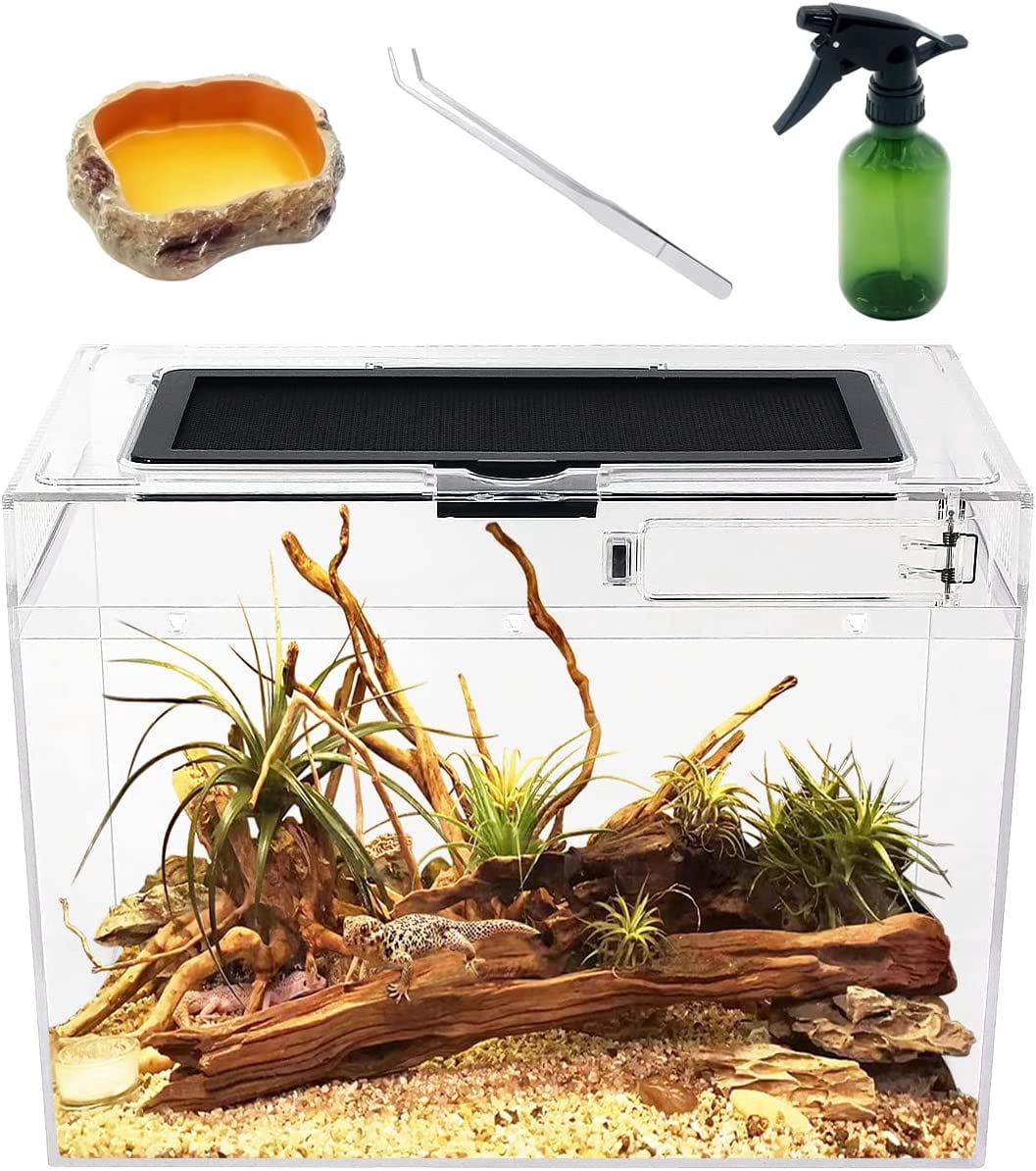 Mini Reptile Terrarium 12"x7"x8.6" Full View Reptile Tank For Insect Fish Tarantula Hermit Crab Iguana Tortoise Gecko Frog Bearded Dragon