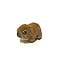 Mini Rock Hyrax Plush