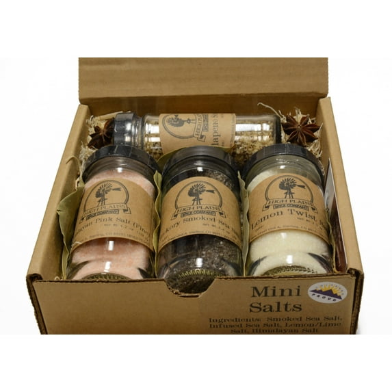 Mini Salts Gift Set of 4 ~ Gift Set by High Plains Spice Company ~ Gourmet Meat and Veggie Spice Blends & Rubs For Beef, Chicken, Veggies & All Cooking Recipes ~ Spice Blends Handcrafted In Colorado