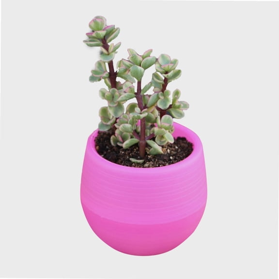 Mini Seedling Flower Container,Succulent Pot with Drainage Holes, Durable Plastic Flower Pot for Garden Courtyard Balcony (Rose Red)