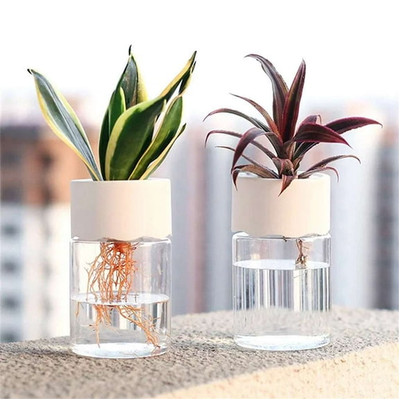 Mini Self-Watering Clear Hydroponic Plant Pot Soilless Indoor Planter for Home and Office Decor Transparent Flower Pot for Small Plants and Herbs (1pcs)