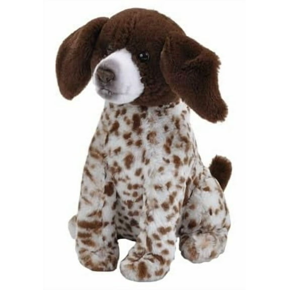 Mini Short Haired Pointer Puppy