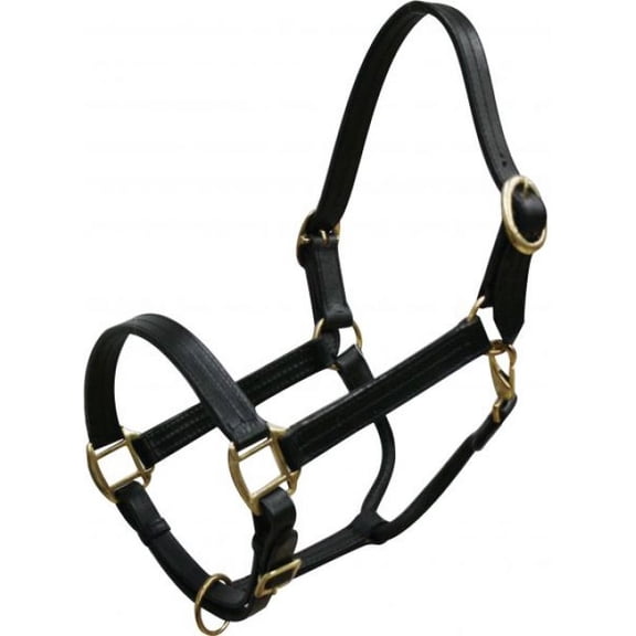 Mini Size Leather Halter w/ Brass Hardware