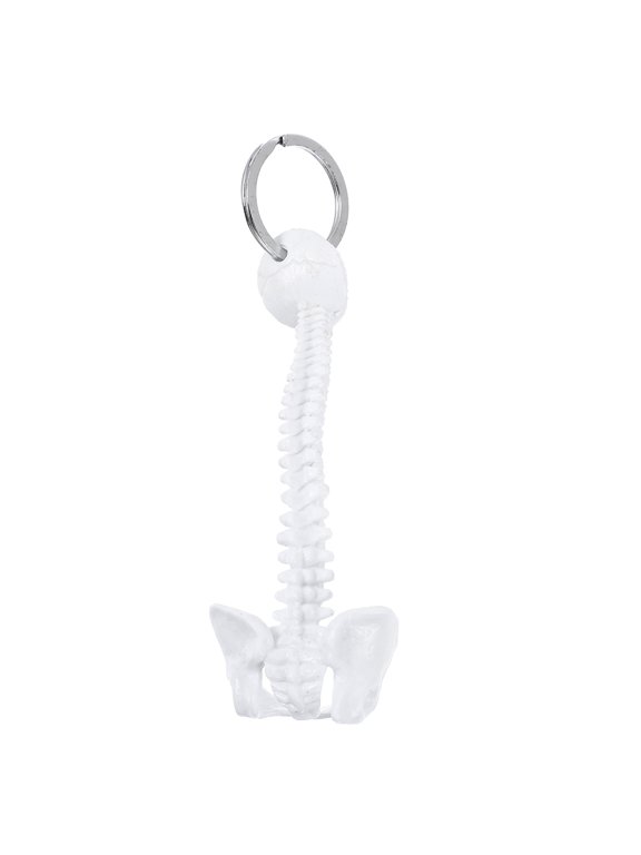 Lumbar Spine Model Keychain Plastic 1Pcs