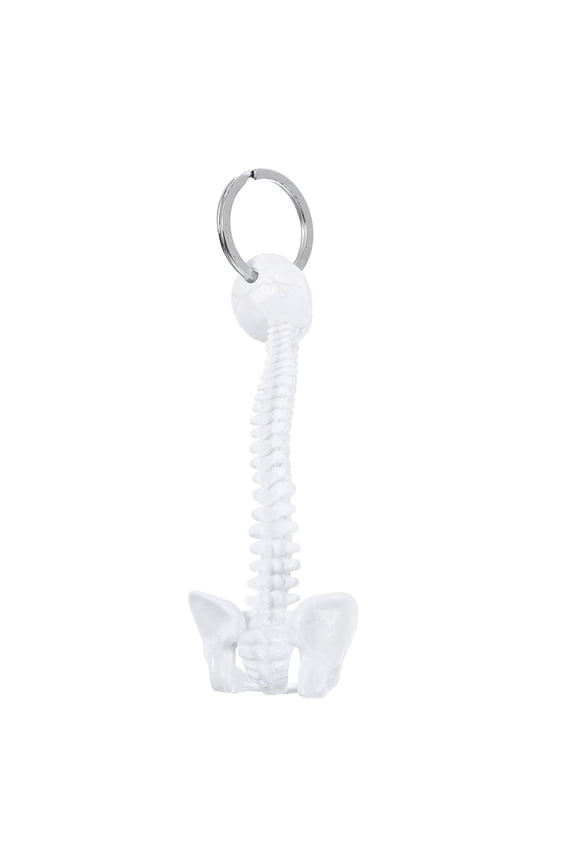 Lumbar Spine Model Keychain Plastic 1Pcs