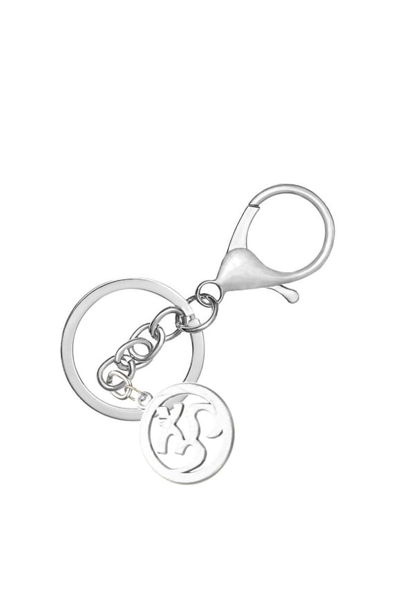 Mini Stainless Steel Key Ring with Chain & Spring Clip, Flat Shrimp Buckle for Bag Belt Lanyard Organization, Durable Silver 1.2x1x0.6 Inch, By VINOIC