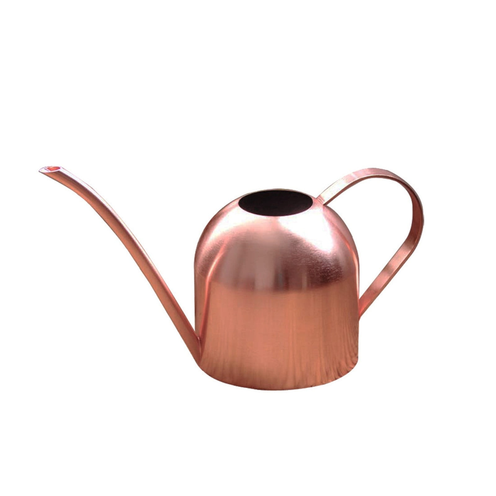 Mini Stainless Steel Watering Can - Long Spout Indoor Watering Pot for Succulents, Flowers and Desk Plants, Stylish Gardening Decoration for Home and Office