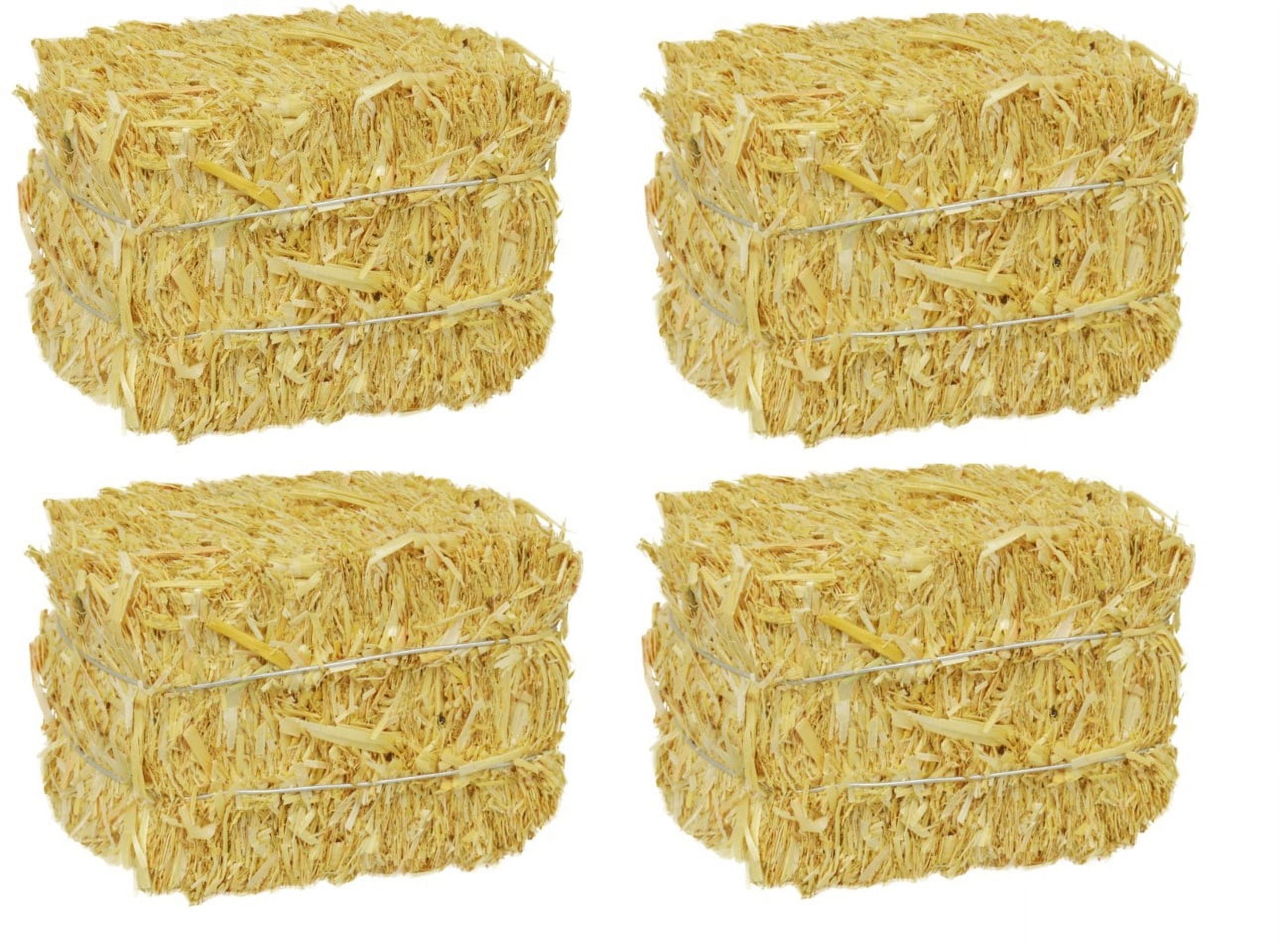 Mini Straw Hay Bales 4 Pack for Home Decor BONUS Mini Rossett