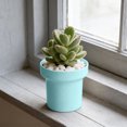 thumbnail image 1 of Mini Succulent Plant Pots Set,Small Plastic Flower Planter with Drainage Holes,Modern Desktop Decor for Cactus Herbs Indoor Plants,Scandinavian Style Home Decor(Blue), 1 of 7