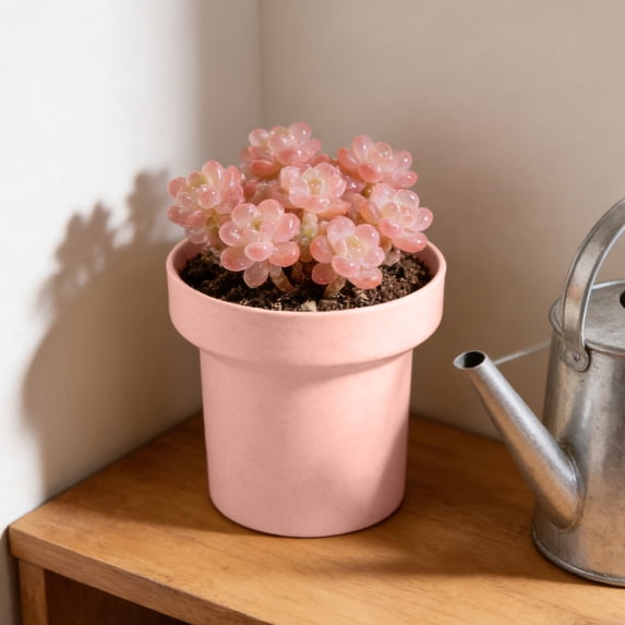Mini Succulent Plant Pots Set,Small Plastic Flower Planter with Drainage Holes,Modern Desktop Decor for Cactus Herbs Indoor Plants,Scandinavian Style Home Decor(Pink)