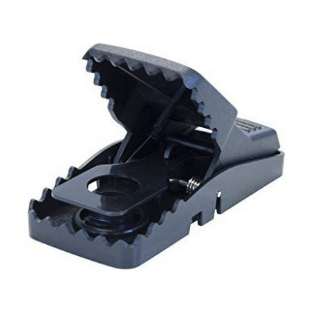 Mini T-Rex Mouse Snap Traps - CASE (24 traps)
